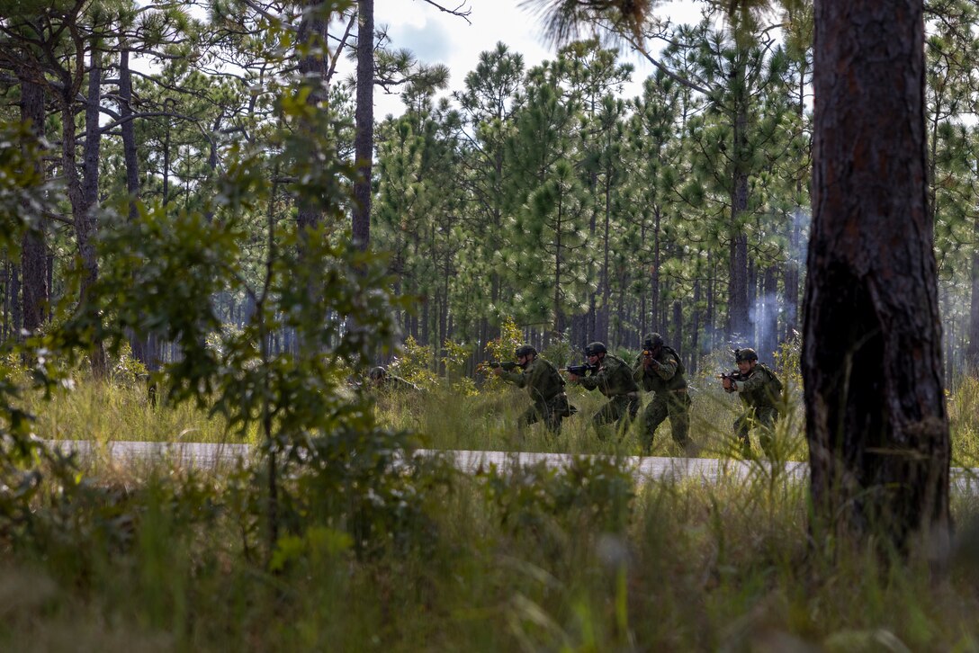 Marines with Infantería de Marina Colombiana (Colombian marine corps), react to a simulated ambush while conducting patrol lane training during exercise UNITAS 2025, Marine Corps Base Camp Lejeune, North Carolina, Sept. 17, 2025. UNITAS, which is Latin for “unity,” was conceived in 1959 and has taken place annually since first conducted in 1960. This year marks the 66th iteration of the world’s longest running annual multinational maritime exercise. (U.S. Marine Corps photo by Lance Cpl. Payton Goodrich)