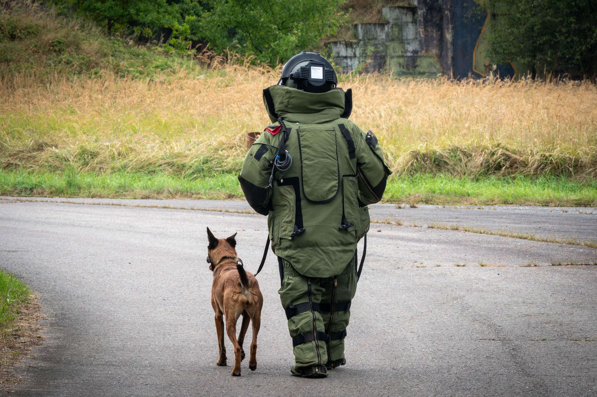 A woman wearing a bomb suit walks down a road facing away from the camera, she has a bomb sniffing dog on a leash next to her.
