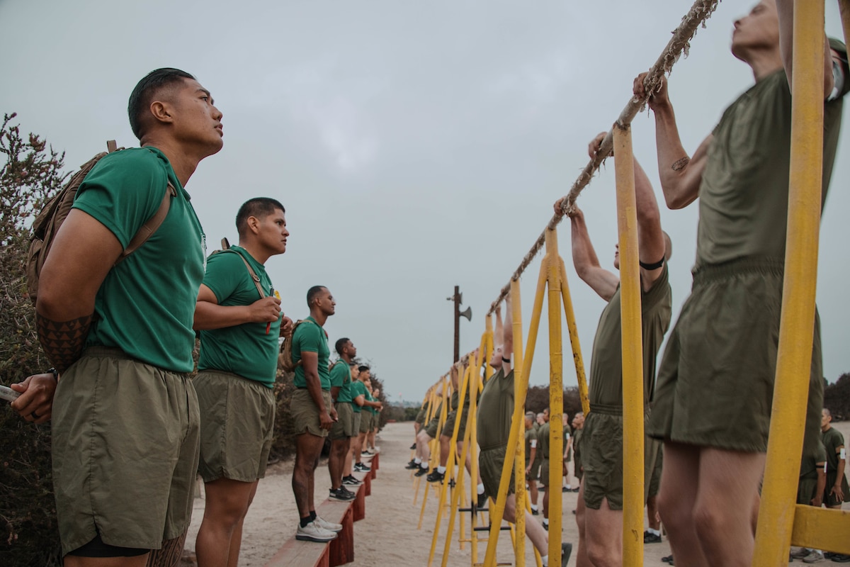 A group of Marine physical fitness leaders in athletic wear stand on a bench as they monitor a group of Marine recruits in similar attire as they perform pullups.