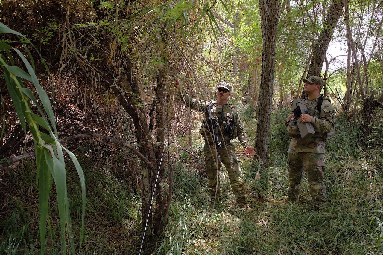 Two soldiers wearing camouflage military uniforms look at a brush covered area while standing in a forest.