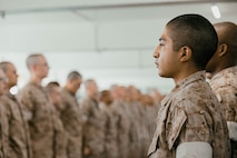 Alpha Company Pick-Up