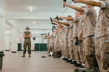 Alpha Company Pick-Up