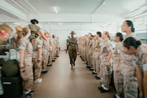 Alpha Company Pick-Up