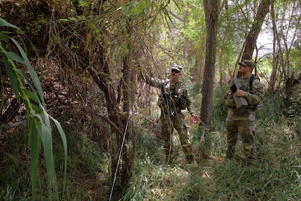 Two soldiers wearing camouflage military uniforms look at a brush covered area while standing in a forest.