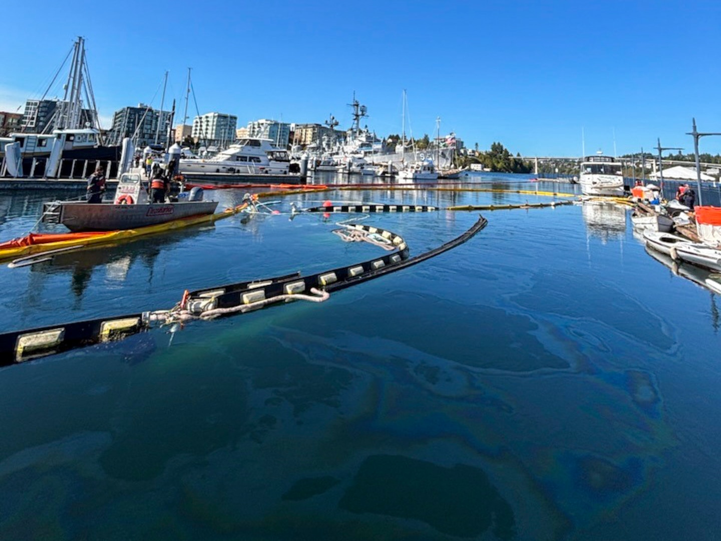 Pollution is seen in the water in the Bremerton Marina, near Bremerton, Washington, after a tugboat sank and caused pollution Sept. 17, 2025.