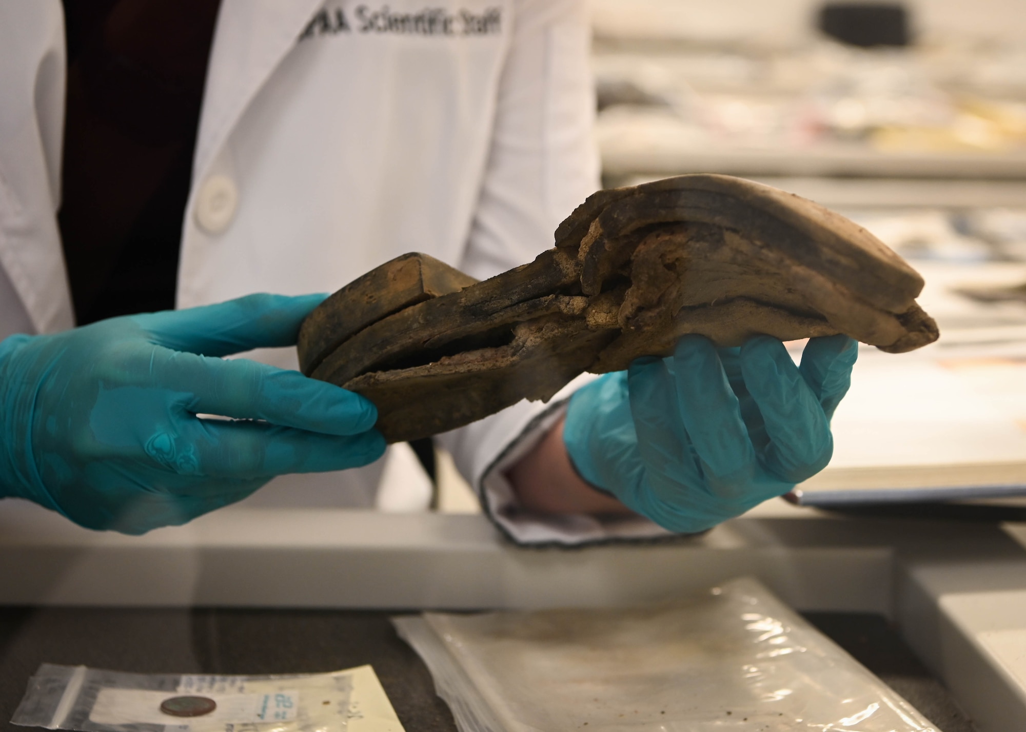 World War II era footwear is examined by a forensic anthropologist at the Defense POW/MIA Accounting Agency on Offutt Air Force Base, Neb., Sept. 16, 2025. The DPAA research material evidence found at excavation sites for clues that may assist in the identification process of a fallen service member. (U.S. Air Force photo by Daniel Martinez)