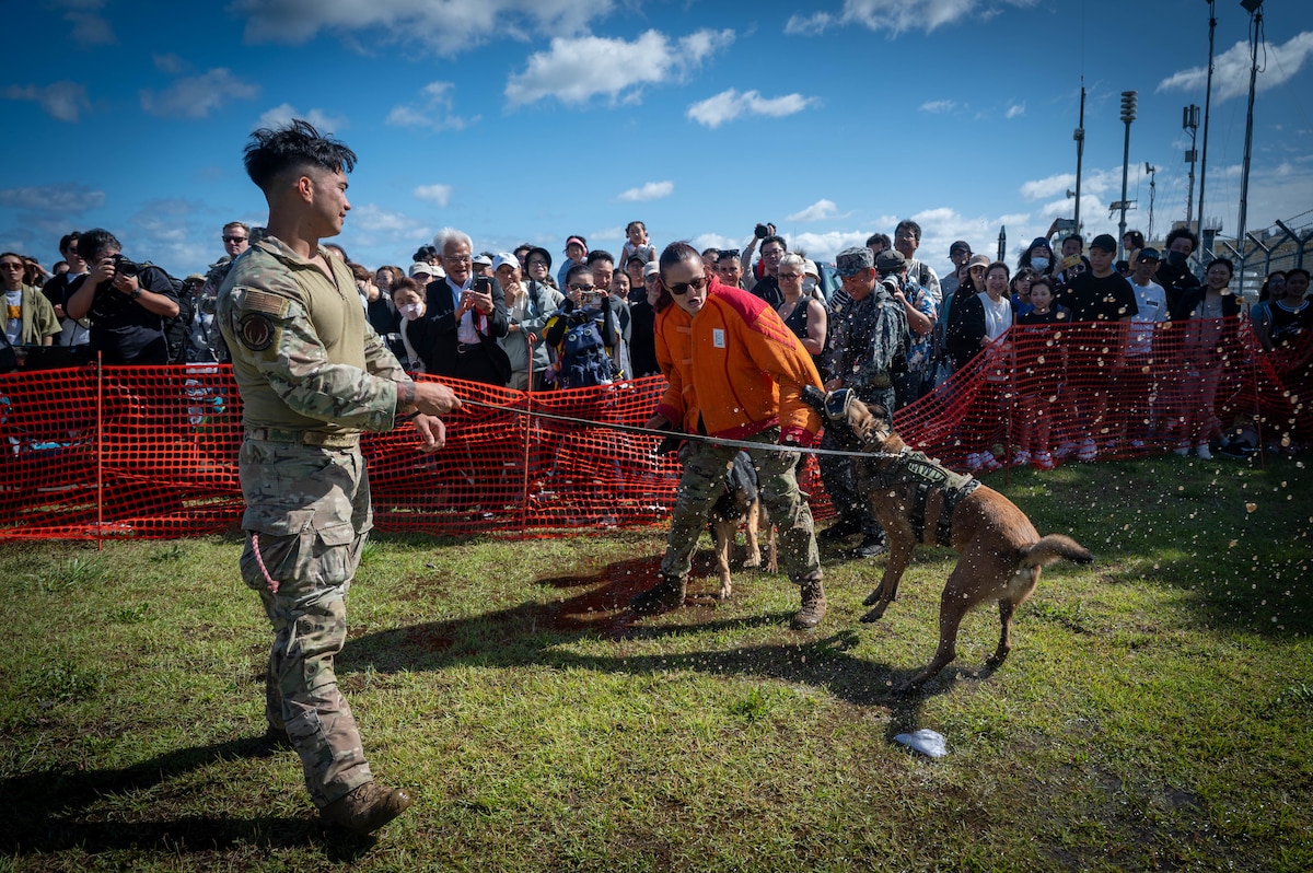 A K9 handler assigned to the 35th Security Forces Squadron performs a demonstration during Air Fest 2025 at Misawa Air Base, Japan, Sept. 21, 2025.