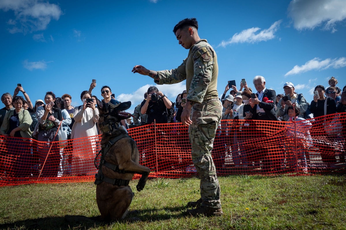 A K9 handler assigned to the 35th Security Forces Squadron performs a demonstration during Air Fest 2025 at Misawa Air Base, Japan, Sept. 21, 2025.