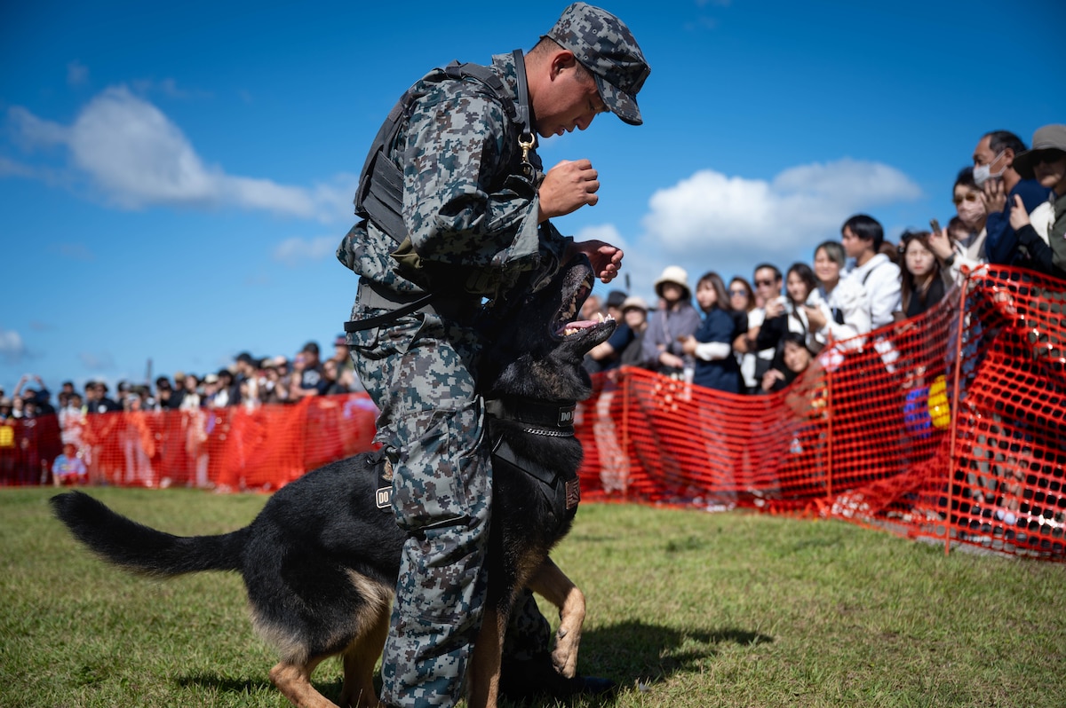 A Japan Air Self Defense Force airman performs a K9 demonstration alongside the 35th Security Forces Squadron during Air Fest 2025 at Misawa Air Base, Japan, Sept. 21, 2025.