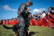 A Japan Air Self Defense Force airman performs a K9 demonstration alongside the 35th Security Forces Squadron during Air Fest 2025 at Misawa Air Base, Japan, Sept. 21, 2025.