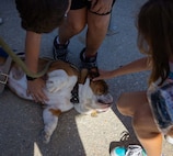 LCpl Bruno Visits a San Diego Wave Game