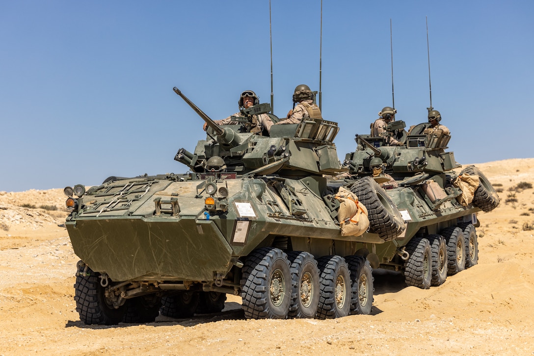 U.S. Marines assigned to 4th Light Armored Reconnaissance, prepare for maneuvers in light armored vehicles (LAVs) during a joint training exercise as part of BRIGHT STAR 25 at Mohamed Naguib Military Base (MNMB), Egypt, Sep. 3, 2025. BRIGHT STAR 25 fosters readiness, improves mil-to-mil coordination, provides opportunities to share best practices, and strengthens bonds between our forces. (U.S. Army Photo by Joseph Kumzak)