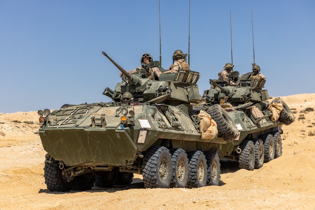 U.S. Marines assigned to 4th Light Armored Reconnaissance, prepare for maneuvers in light armored vehicles (LAVs) during a joint training exercise as part of BRIGHT STAR 25 at Mohamed Naguib Military Base (MNMB), Egypt, Sep. 3, 2025. BRIGHT STAR 25 fosters readiness, improves mil-to-mil coordination, provides opportunities to share best practices, and strengthens bonds between our forces. (U.S. Army Photo by Joseph Kumzak)