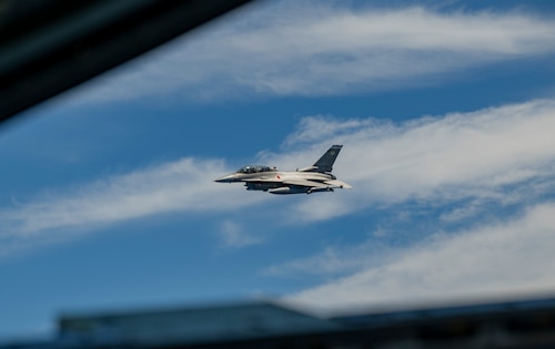 Falcon in air