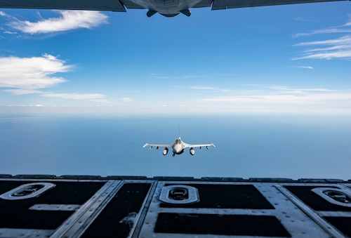 Falcon in air