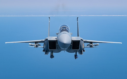 Eagle in air