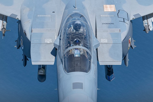 Eagle in air