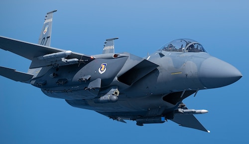 Eagle in air