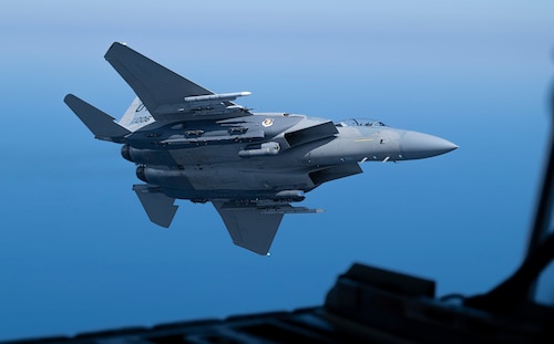 Eagle in air