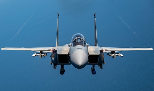 Eagle in air