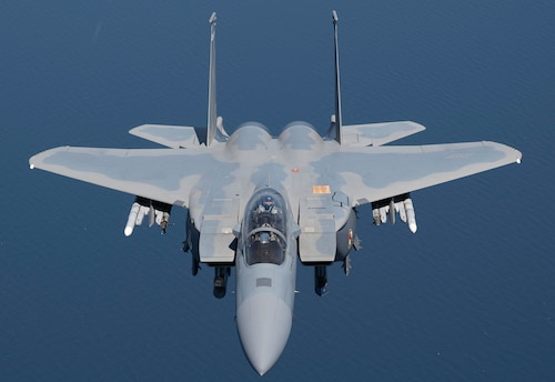 Eagle in air