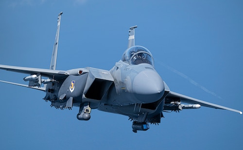 Eagle in air