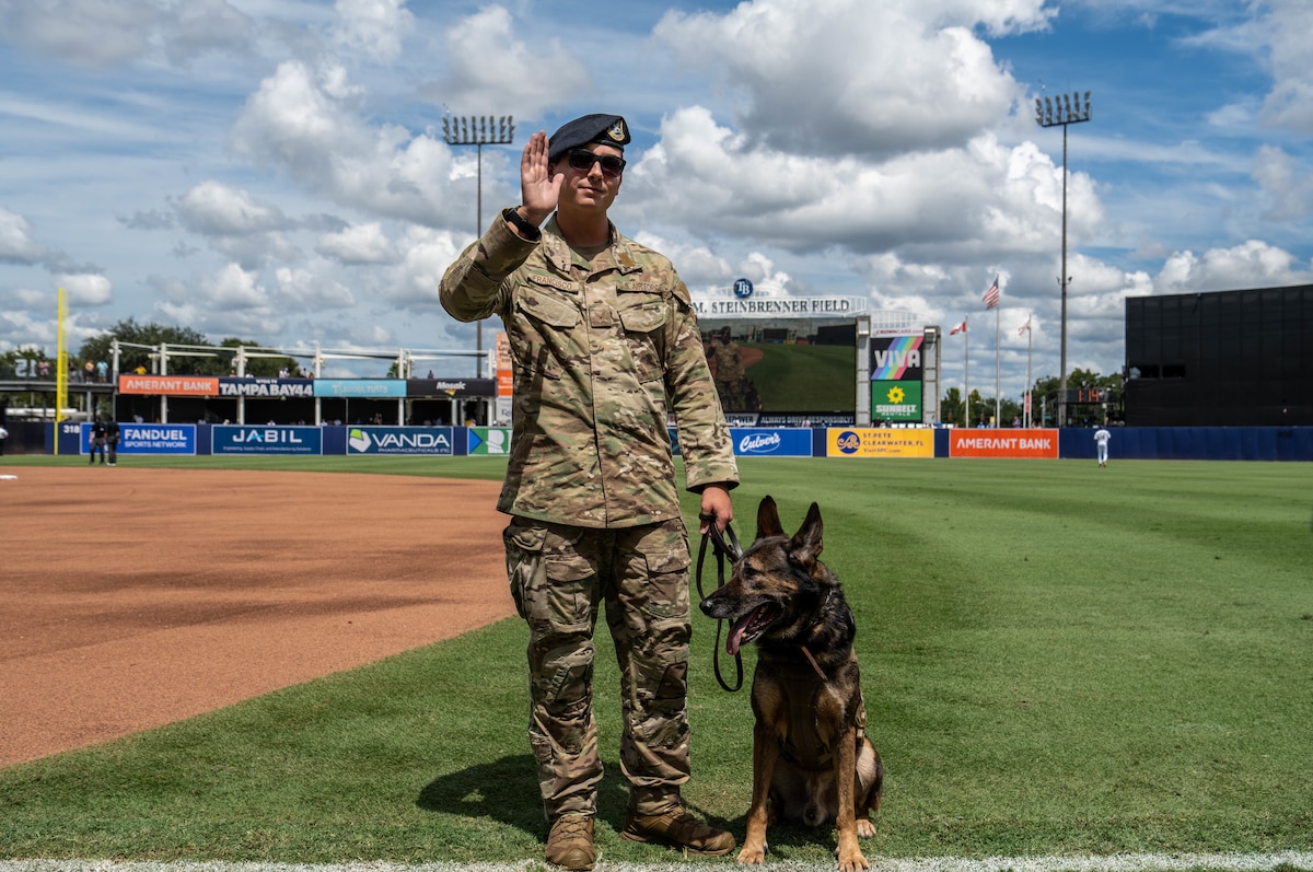 U.S. Air Force Senior Airman Jeremy Francisco, 6th Security Forces Squadron military working dog handler, and Golyko, military working dog, waves to the crowd during the Tampa Bay Rays baseball game in Tampa, Florida, Sept. 18, 2025. During the  game, Airmen assigned to the 6th ARW were recognized for their service and contributions to the community. (U.S. Air Force photo by Staff Sgt. Christopher Tam)