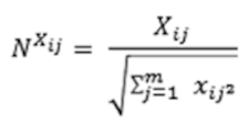 Equation Nxij