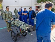 YOKOSUKA, Japan (Sept. 23, 2025) – Hospital corpsmen and staff from U.S. Navy Medicine Readiness and Training Command (USNMRTC) Yokosuka demonstrate the use of a wheeled litter carrier during a mass casualty drill. The exercise tested the command’s ability to triage, treat and transport multiple simulated patients during a crisis. (U.S. Navy photo by Daniel Taylor/USNMRTC Yokosuka Public Affairs)