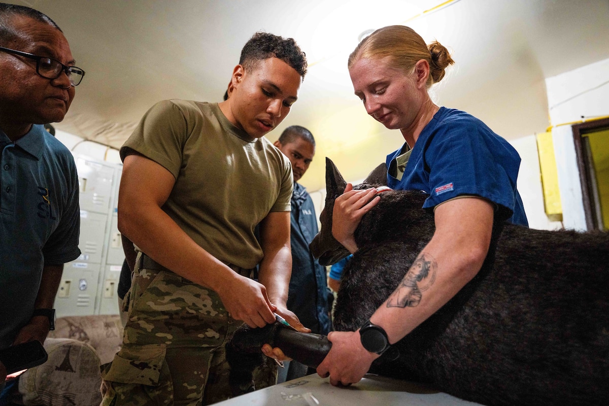 Soldiers give a dog a shot in a dimly lit room as staff members watch.