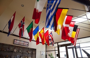 Flags in ENJJPT