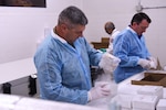 U.S. Air Force Tech. Sgt. Ryan Cannon, Air Force Health Study noncommissioned officer in charge, and Adam Irvin, quality assurance director, from the 711th Human Performance Wing prepare Air Force Health Study biospecimens for storage in freezers at the West Los Angeles VA Medical Center, Los Angeles, California, Aug. 21, 2025. The samples were transferred to the medical center from Wright-Patterson Air Force Base, Dayton, Ohio, in a collaborative effort between the U.S. Air Force, the Department of Veterans Affairs, and VA SHIELD. (U.S. Air Force photo by Matt Brafman)