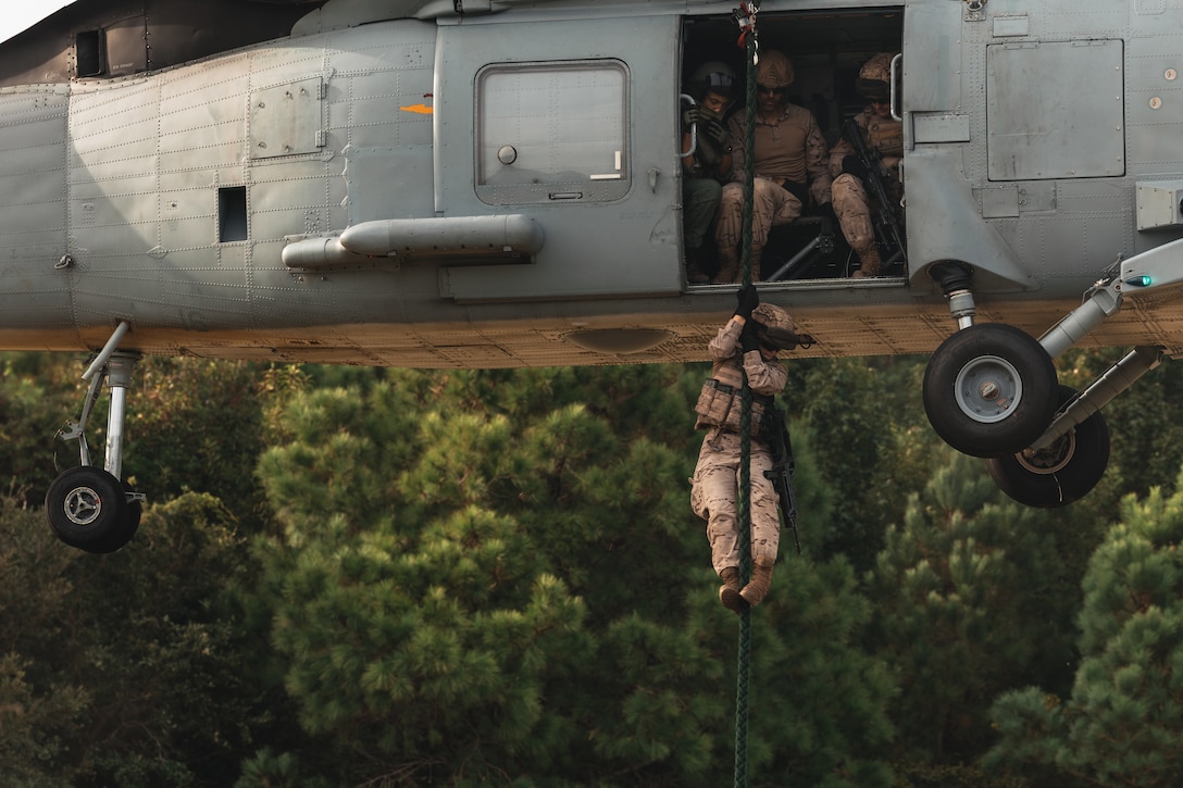 CaptionA marine with Infantería de Marina (Spanish marine corps) fast ropes from a Spanish helicopter during helicopter rope suspension technique training as part of exercise UNITAS 2025 at Marine Corps Base Camp Lejeune, North Carolina, Sept. 22, 2025. UNITAS, which is Latin for “unity,” was conceived in 1959 and has taken place annually since first conducted in 1960. This year marks the 66th iteration of the world’s longest running annual multinational maritime exercise. (U.S. Marine Corps photo by Sgt. Jorge Borjas)