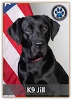 black lab dog posing in front of an American flag