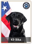 black lab posing in front of an American flag