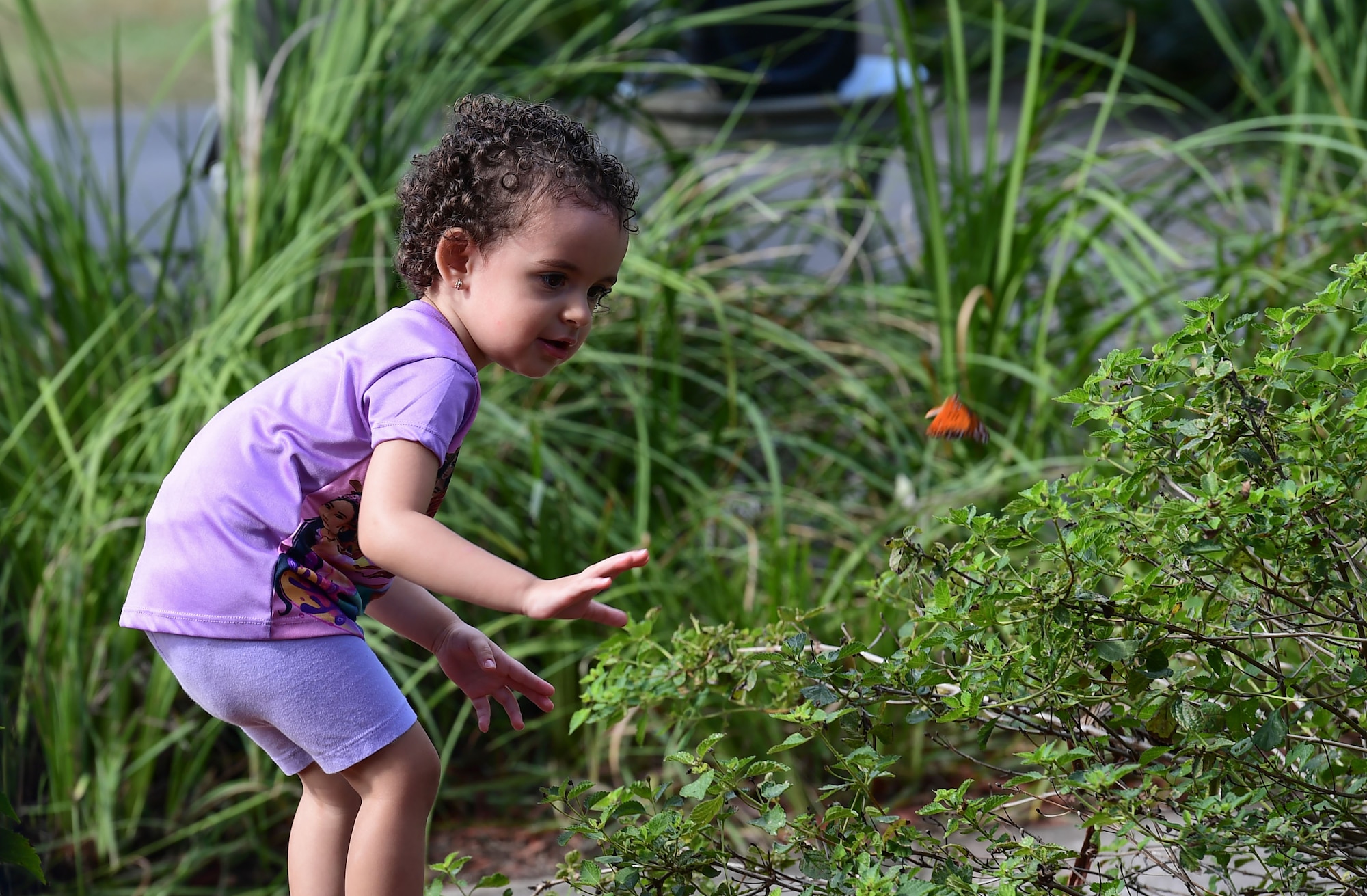 A little girl chases a butterfly