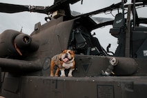 U.S. Marine Corps photo by Lance Cpl. Angie N. Palomino