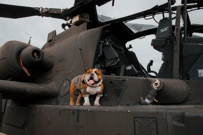 U.S. Marine Corps photo by Lance Cpl. Angie N. Palomino