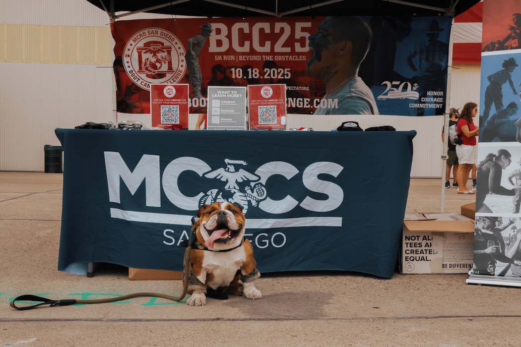 U.S. Marine Corps photo by Lance Cpl. Angie N. Palomino