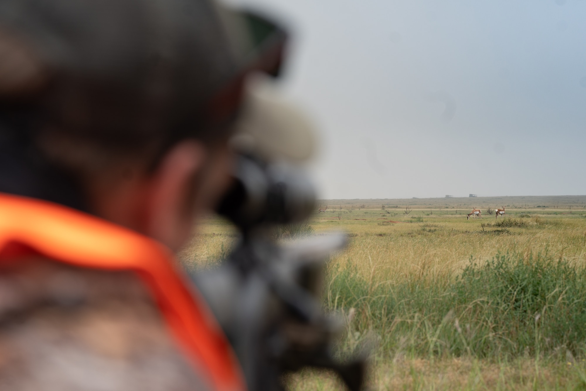 A hunter looks through the scope of a rifle at a group of pronghorn at Melrose Air Force Range, New Mexico, Sept. 6, 2025. The Steadfast Line hosted a pronghorn population management hunt where selected individuals were allowed to hunt on the range to reduce the number of pronghorn. (U.S. Air Force photo by Senior Airman Sarah Gottschling)