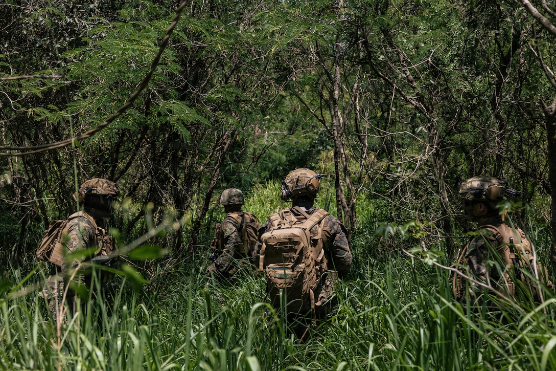 U.S. Marines, with Light Armored Reconnaissance Company, Battalion Landing Team 3/6, 22nd Marine Expeditionary Unit (Special Operations Capable), patrol during maneuver and patrol training at Camp Santiago, Puerto Rico, March 20, 2026. U.S. military forces are deployed to the Caribbean in support of the U.S. Southern Command mission, Department of War-directed operations, and the president’s priorities to disrupt illicit drug trafficking and protect the homeland. (U.S. Marine Corps photo)