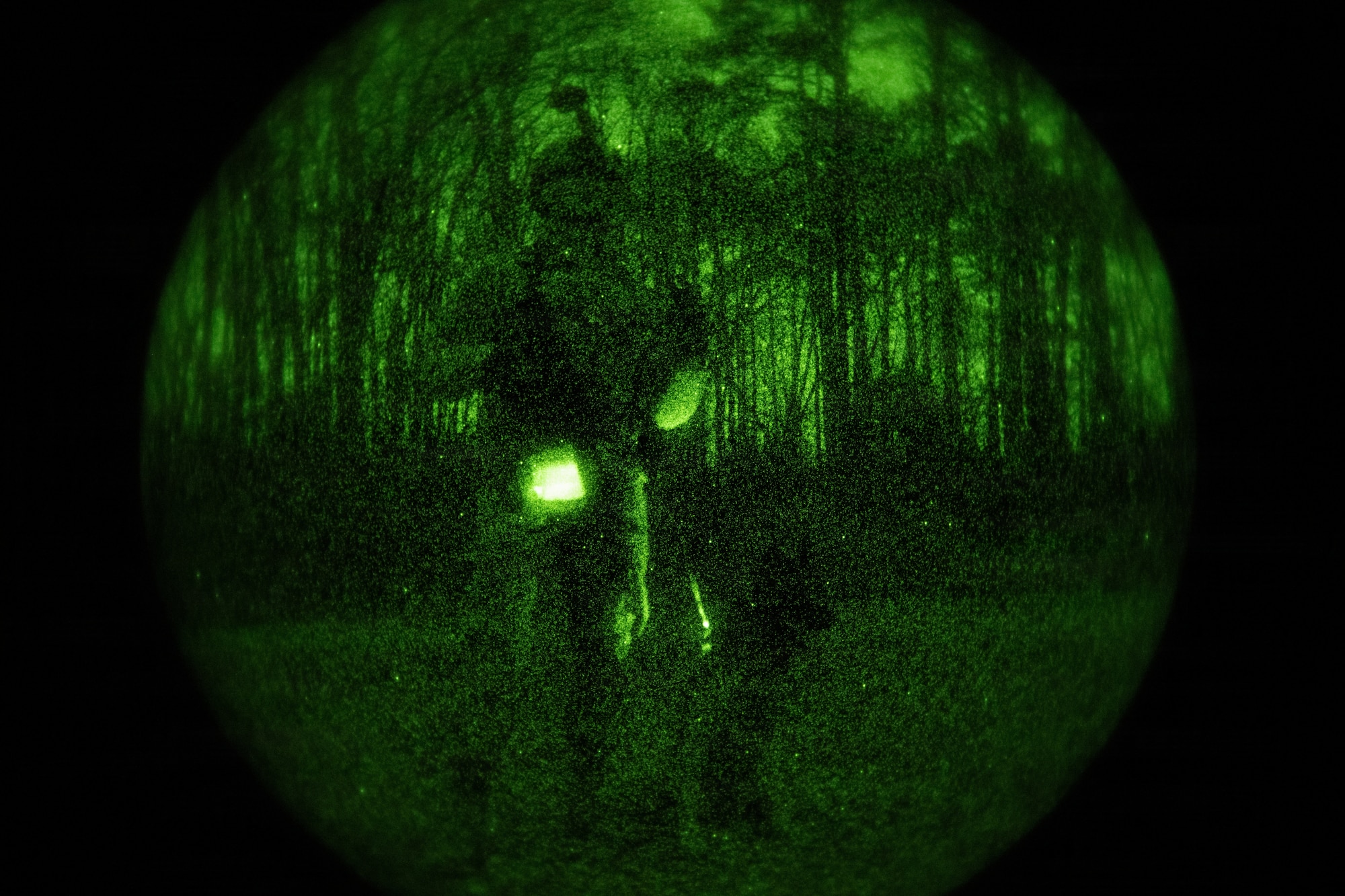 Airmen working with K9 military Working Dogs in night vision