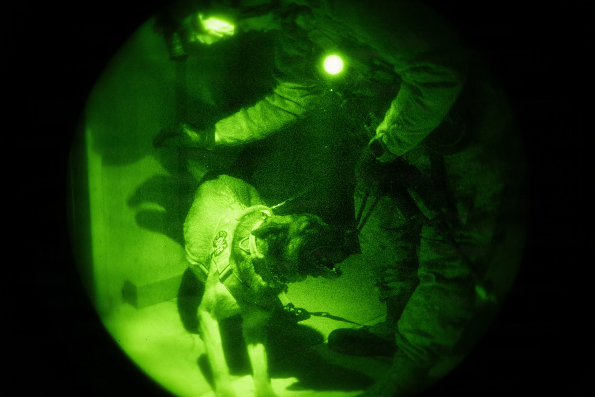 Airmen working with K9 military Working Dogs in night vision