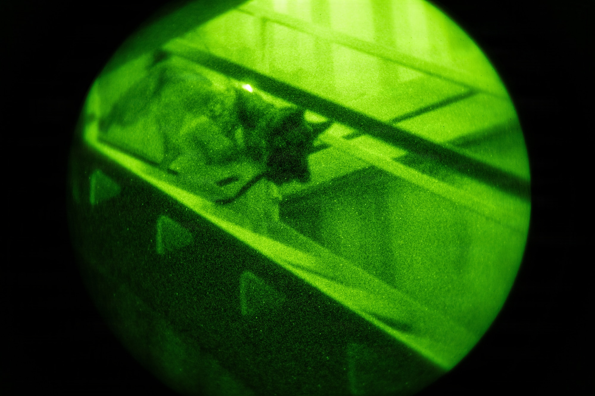 Airmen working with K9 military Working Dogs in night vision