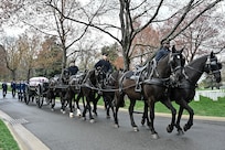 Horse drawn carriage with casket