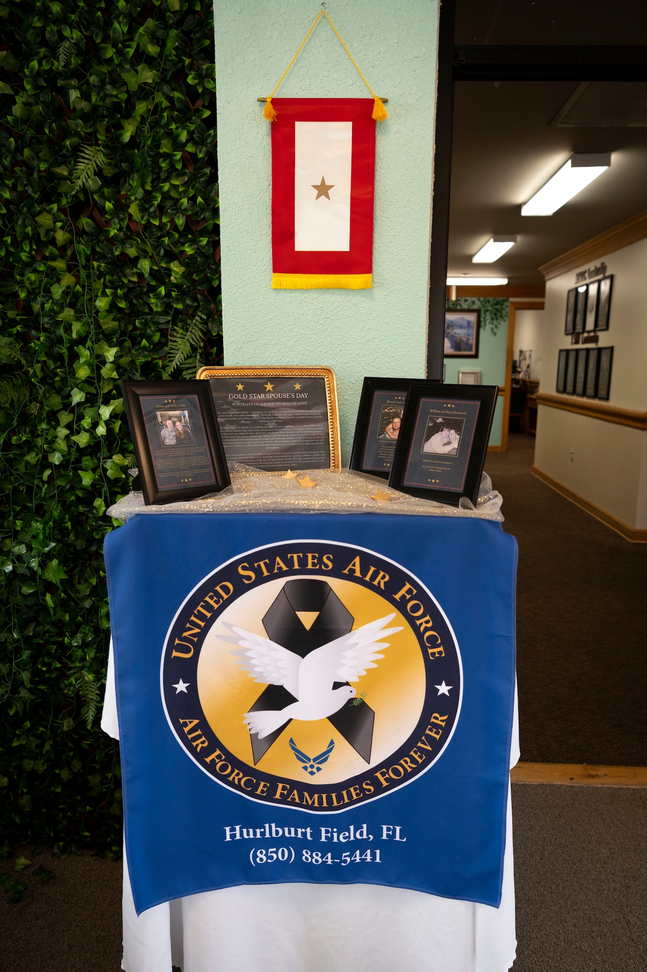 Display of Gold Star spouse stories