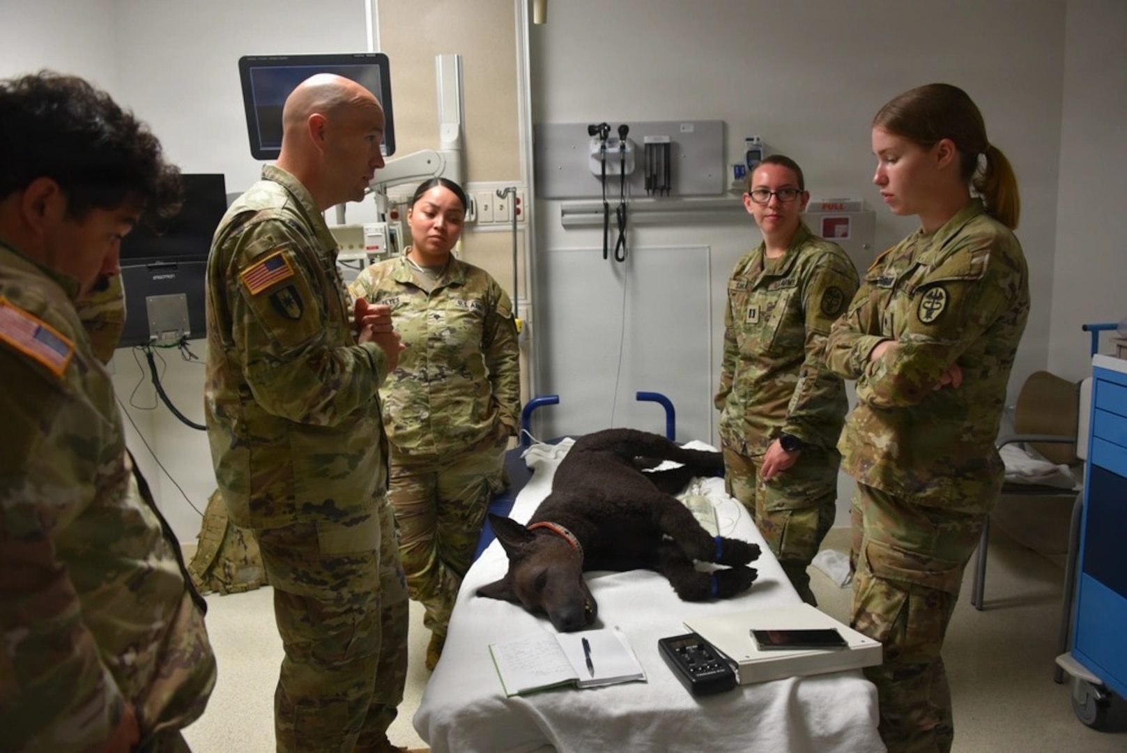 Womack Army Medical Center and the U.S. Army Veterinary Readiness Activity, (VRA) Fort Bragg, collaborated on a critical training exercise March 31, 2026. VRA Fort Bragg Soldiers Lt. Col. Shane Chumbler, Spc. Nicole Reyes, Capt. Paige Sommer and Spc. Holly Gunderson conduct a debrief following a clinical scenario of a Military Working Dog casualty. This vital exercise, part of the Installation Health Support Plan, brought together Animal Care Specialists and Combat Medic Specialists testing the seamless integration between WAMC and the Fort Bragg Veterinary Branch to ensure the highest level of care for our four-legged service members. (Photo by Keisha Frith, Womack Army Medical Center Public Affairs Office)