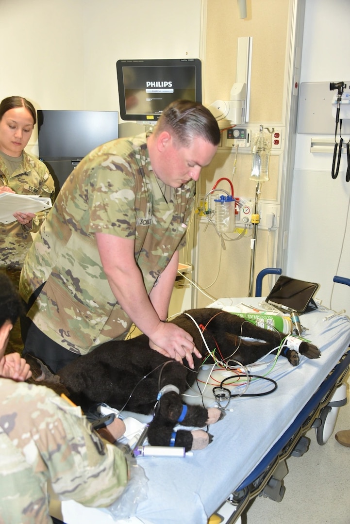 Womack Army Medical Center (WAMC) and the U.S. Army Veterinary Readiness Activity, (VRA) Fort Bragg, collaborated on a critical training exercise March 31, 2026. Staff Sgt. Austin, Schultz, WAMC Paramedic performs CPR on Military Working dog. This vital exercise, part of the Installation Health Support Plan, brought together Animal Care Specialists and Combat Medic Specialists testing the seamless integration between WAMC and the Fort Bragg Veterinary Branch to ensure the highest level of care for our four-legged service members. (Photo by Keisha Frith, Womack Army Medical Center Public Affairs Office)