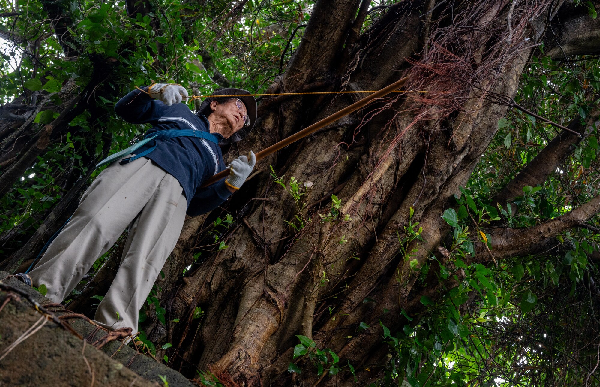 A local Okinawan base visitor clears vegetation from an ancestral tomb during Shimi at Kadena Air Base, Japan.