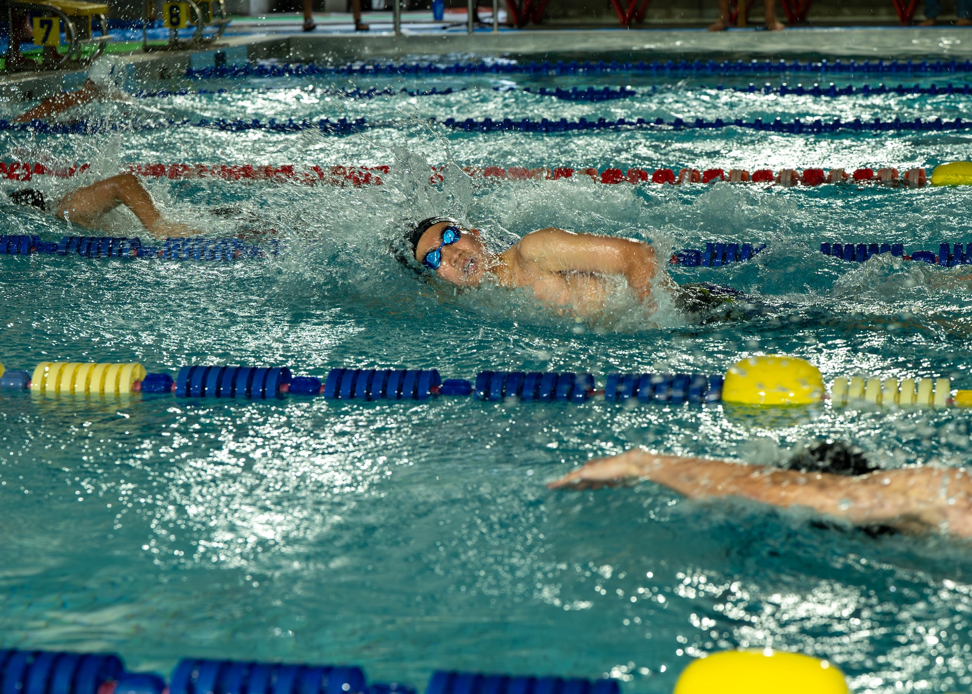 Swimmers swim freestyle during a race.